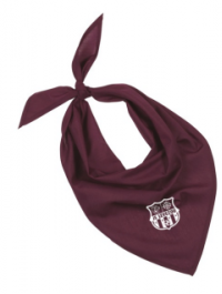 Bandana